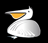 Piscines Plage Privée